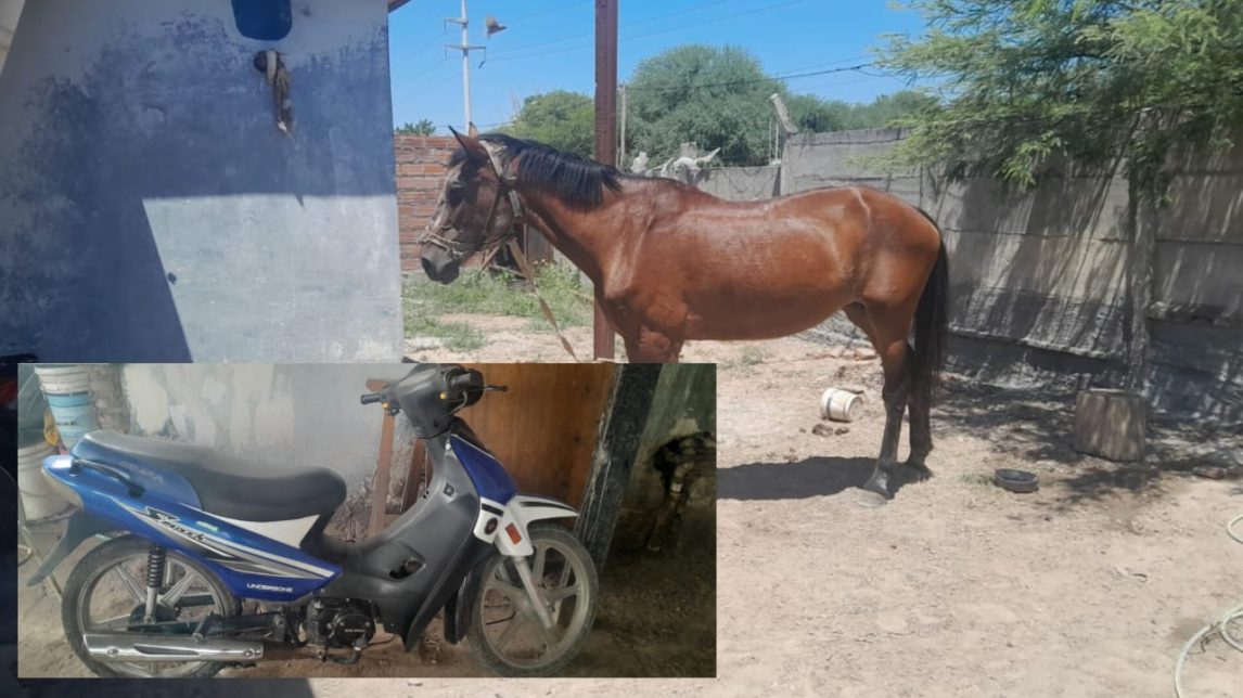 Frustran el robo de una yegua: mintió que la había alquilado para la fiesta del Gauchito Gil