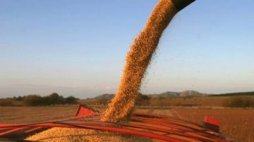 El Gobierno anunció una nueva baja en las retenciones para el campo
