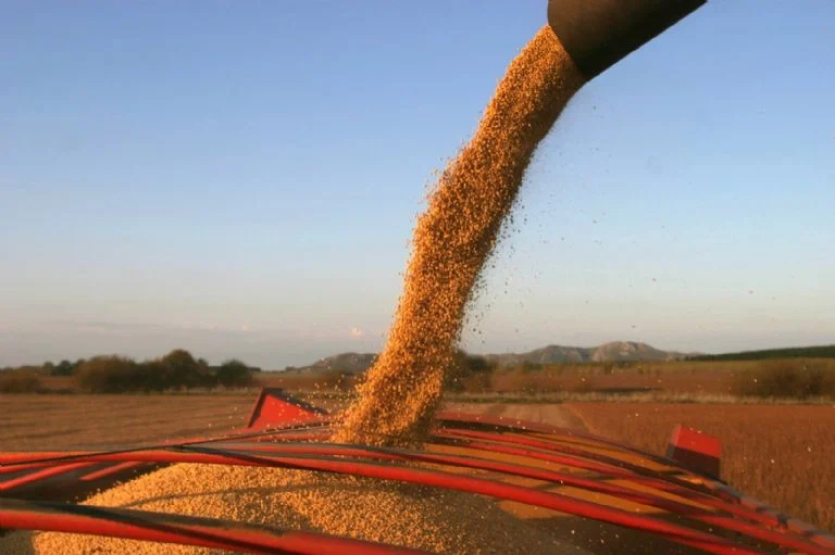 El Gobierno anunció una nueva baja en las retenciones para el campo