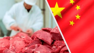 China investiga importaciones de carne vacuna en medio de un mercado saturado