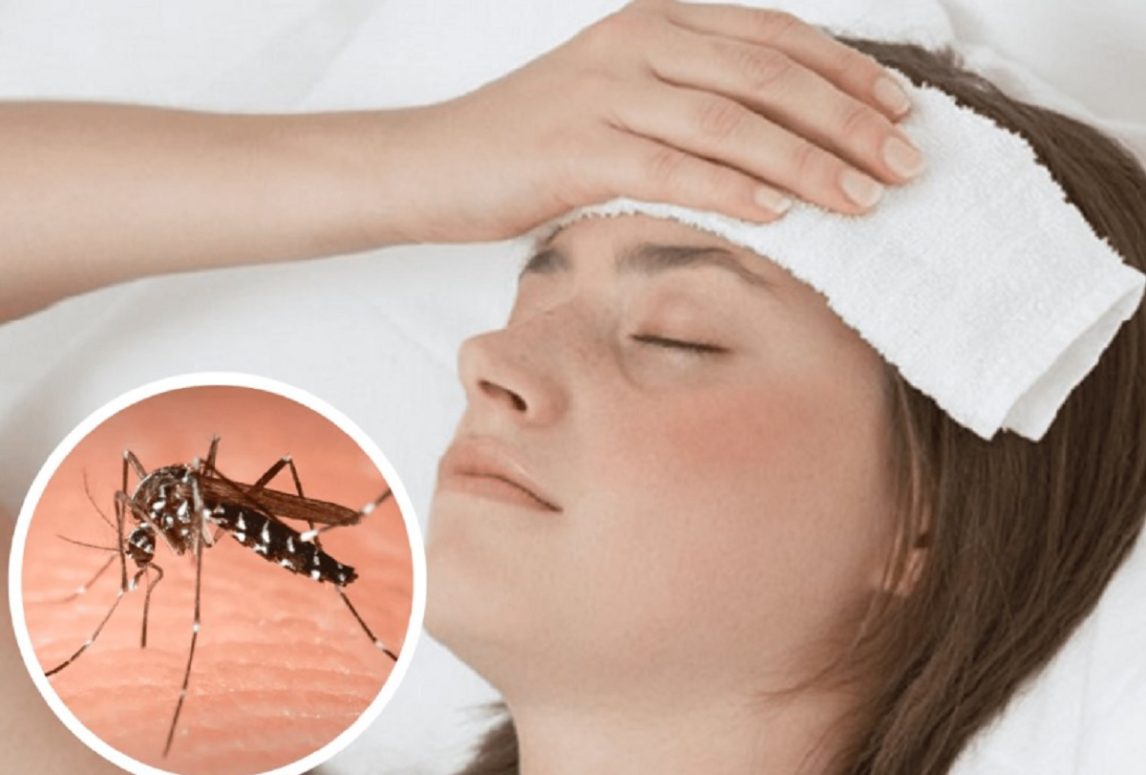 Dengue: qué hacer si viajo a zonas de alto riesgo de contagio