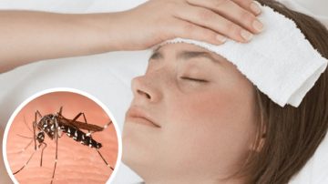 Alerta sanitaria: Santiago del Estero registra 11 casos de chikungunya