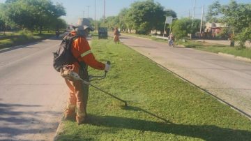 Servicios Urbanos de Capital realizó desmalezamiento en avenida Lugones