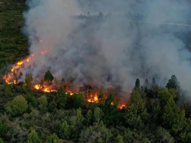 Incendio en el Parque Nacional Nahuel Huapi: más de 3.500 hectáreas arrasadas