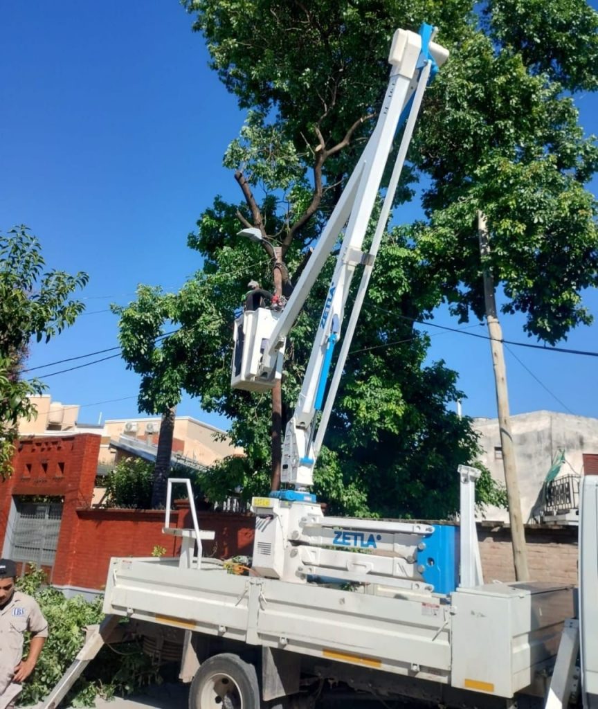La comuna capitalina trabajó en la poda y en la plantación de árboles en la colectora de Ruta 9