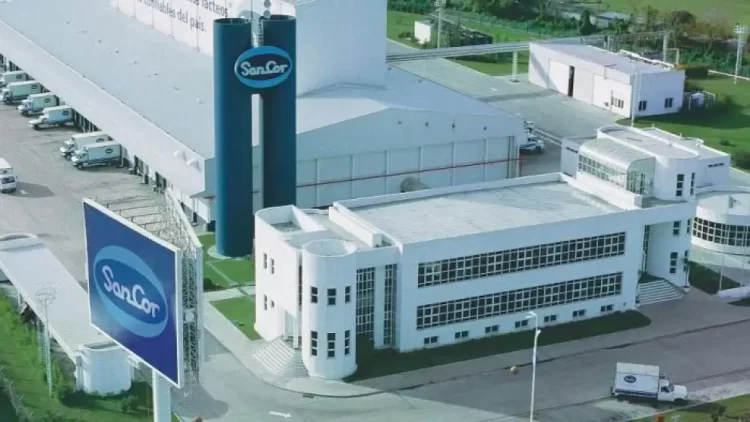 Por cuántos millones de dólares se vende la empresa láctea SanCor: la increíble suma de dinero que fijó la justicia