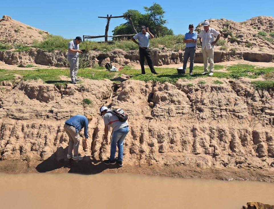 Histórico: descubrieron restos fósiles de un gliptodonte en Los Juríes