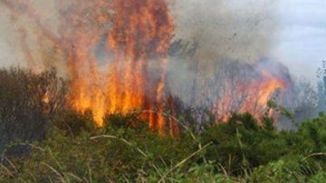 Desesperación en La Banda: incendio de pastizales pone en riesgo a varias viviendas