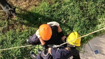 Bomberos Voluntarios realizaron un simulacro de rescate en altura en Santiago del Estero