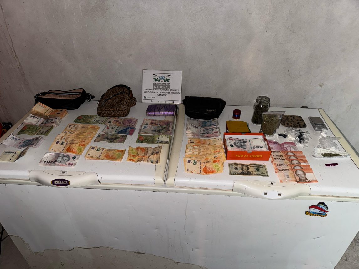 Golpe al narcotráfico en Mendoza con detenciones y secuestro de droga