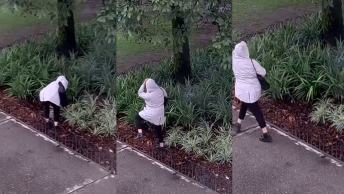 “Señora de campera, no arranque las plantas”: furor por los altoparlantes instalados en las plazas de Tucumán