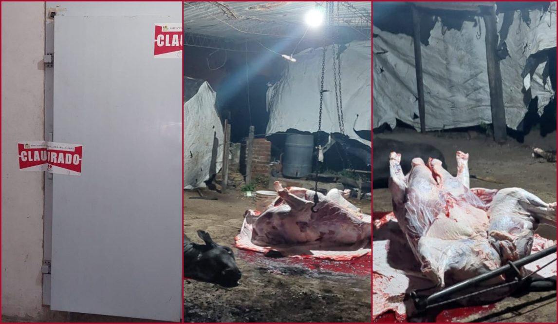 Desmantelan un “matadero” clandestino en el departamento Banda