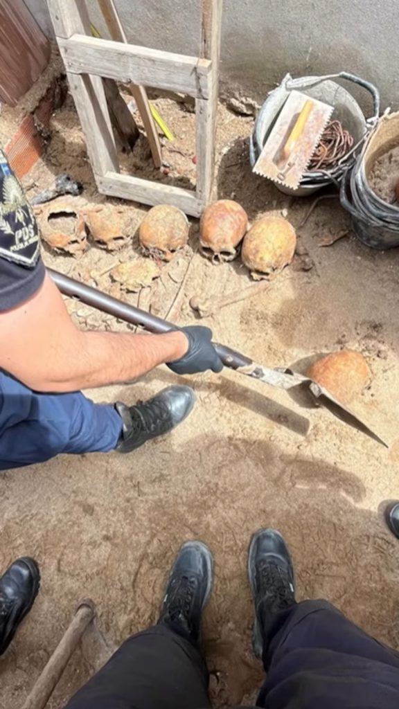 Mientras refaccionaba su casa encontró una docena de cráneos humanos