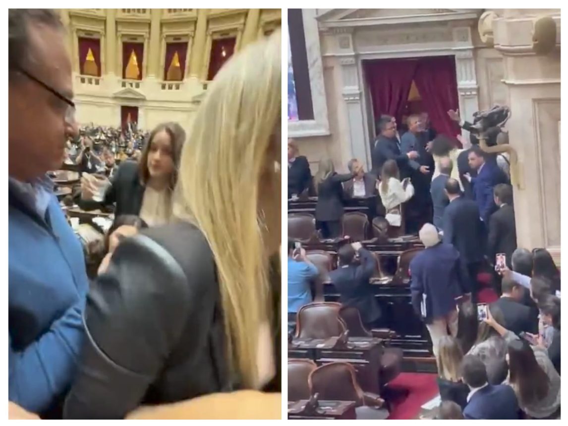 Diputados descontrolados: Gritos, insultos, golpes de puño y agua