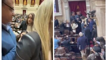 Diputados descontrolados: Gritos, insultos, golpes de puño y agua