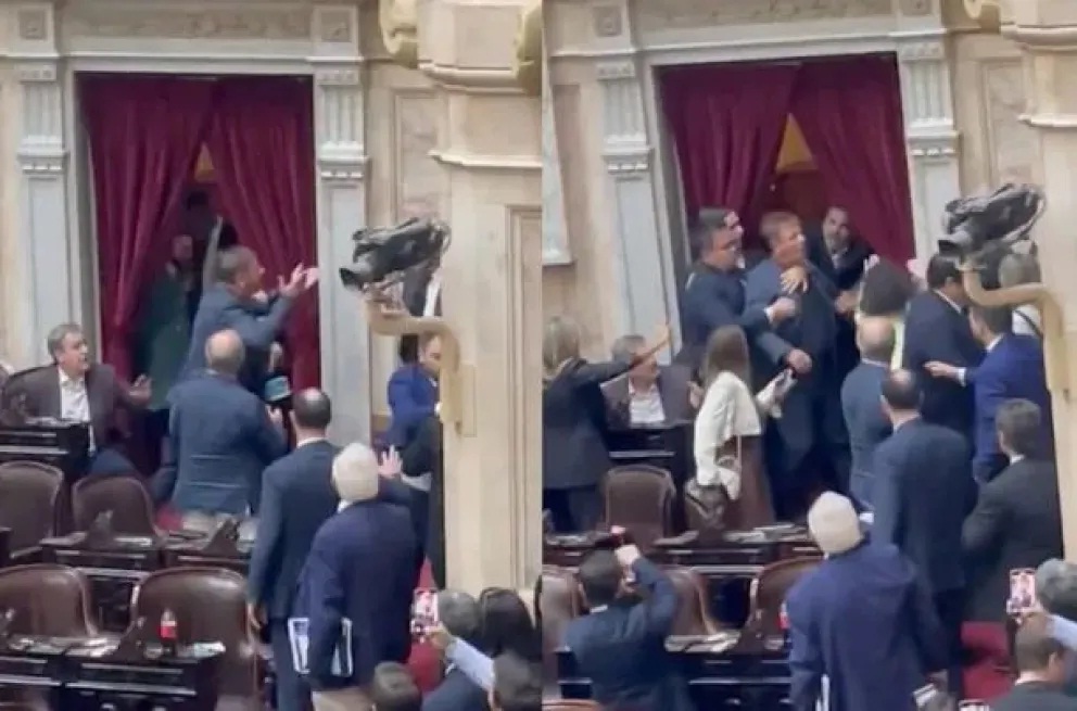 VIDEO. Escándalo en Diputados: Menem levantó la sesión y hubo piñas entre Oscar Zago y Lisandro Almirón