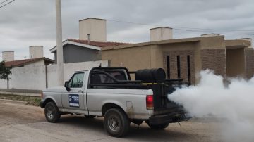 En la ciudad de Santiago del Estero se intensifica la fumigación para frenar plaga de mosquitos