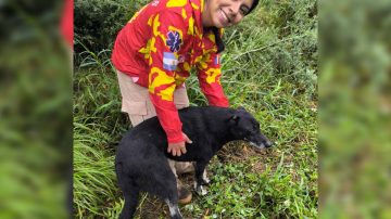 FOTOS: Un perrito fue rescatado por guardavidas tras caer en un pozo profundo