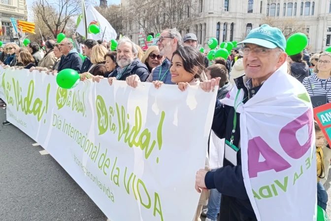 Miles de personas marcharon en Madrid por el “Día del Niño por Nacer”