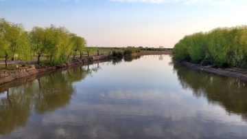 Cordobeses fueron atacados por abejas cuando pescaban en el Río Utis y uno desapareció en el agua
