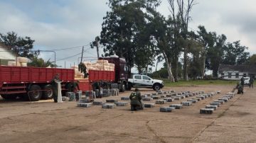 Golpe al narcotráfico: tres toneladas de marihuana ocultas en un camión en Corrientes
