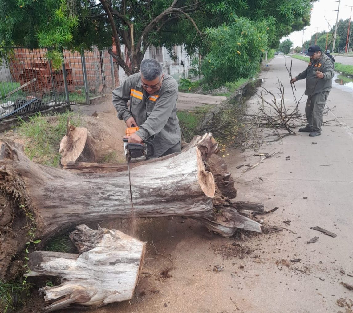 La Municipalidad trabajó en el despeje de calles de ramas y árboles caídos por el viento
