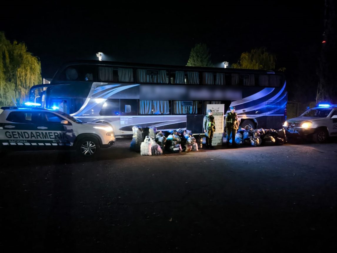 Millonario decomiso y escándalo por documentación falsa en controles de Gendarmería