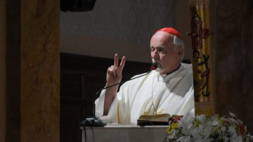 Cardenal Bokalic en el día de Mama Antula: “Su ejemplo nos invita a amar al pueblo”