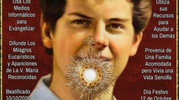 Convocan a participar de una jornada fraternal por la canonización del beato Carlo Acutis