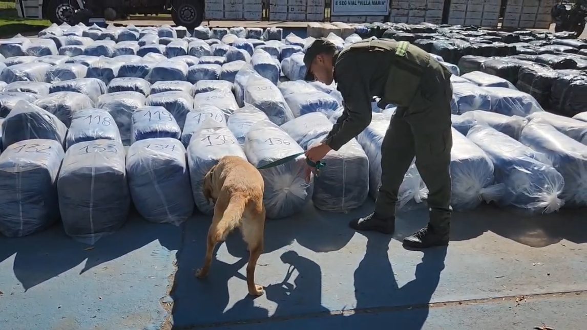 Cargamento millonario: interceptan camión con más de 6 toneladas de coca