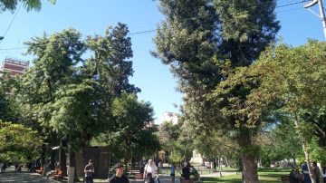 Pronóstico del tiempo en Santiago del Estero: martes 13 soleado con máxima de 27 grados