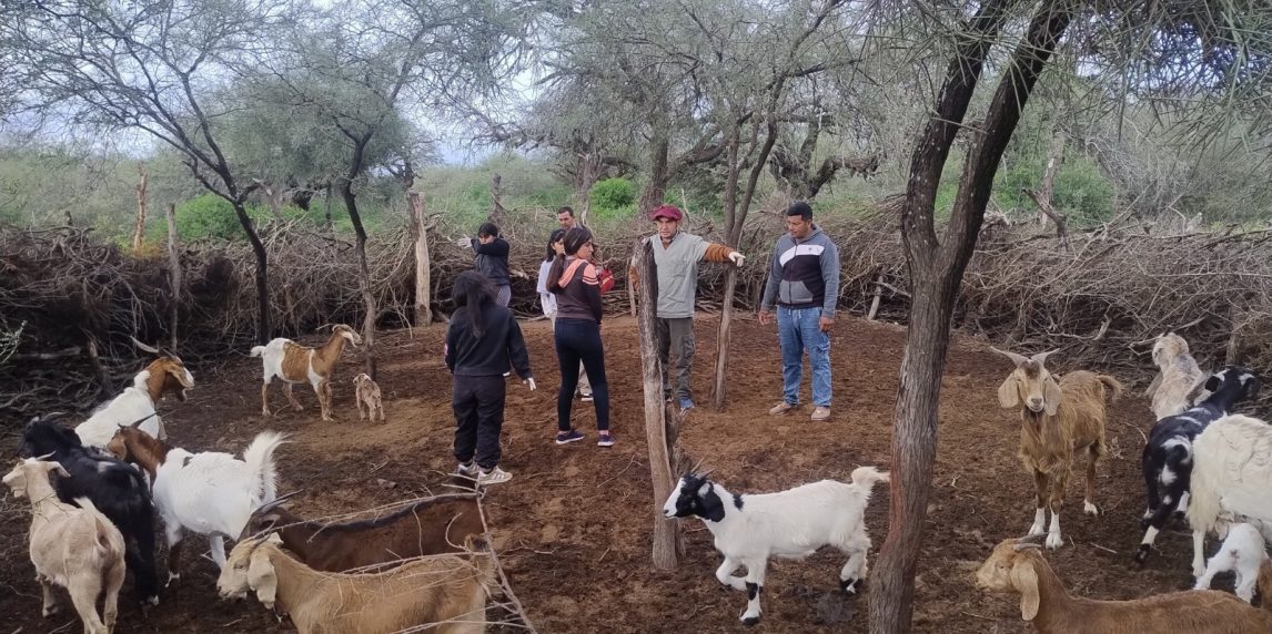 Alumnos de la EFA participaron en una exitosa jornada junto a los Veterinarios del Monte Santiagueño