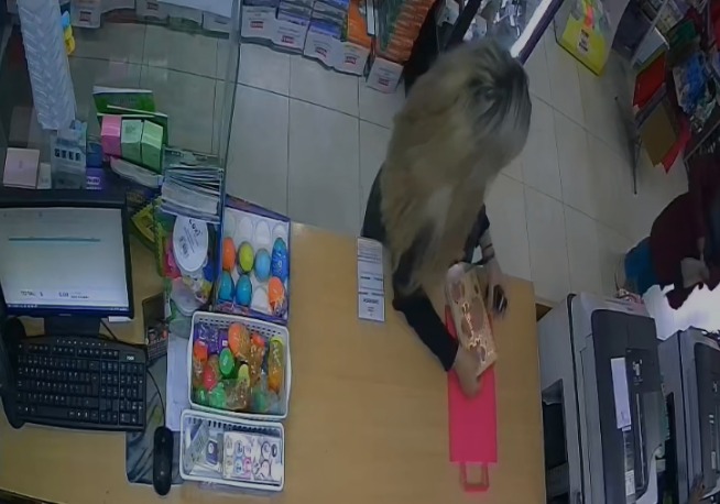 VIDEO | Mechera, pero sincera: robó una agenda capibara, la descubrieron y debió pagar el doble