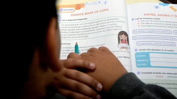 Alarmante informe sobre la educación argentina: la mitad de los chicos no entiende lo que lee