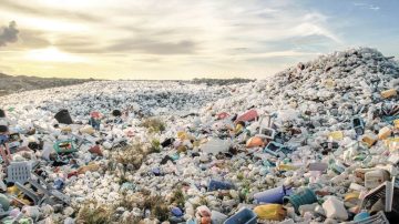 Día Mundial del Medio Ambiente: el llamado urgente contra la contaminación y el impacto de la “isla de plástico” en el Pacífico