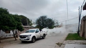 Calidad de Vida de la Municipalidad informó los barrios en donde se realizarán esta semana las fumigaciones