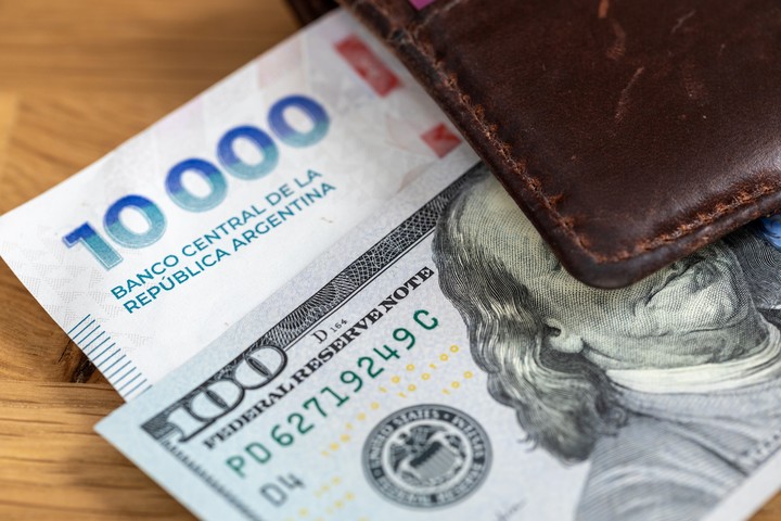 Tras la derrota del Gobierno en las elecciones, el dólar oficial opera a $1.460