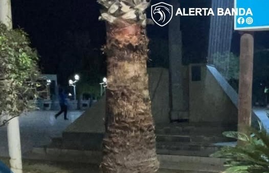 Un motociclista se quedó sin frenos y se estampó contra el mástil de la Plaza Belgrano