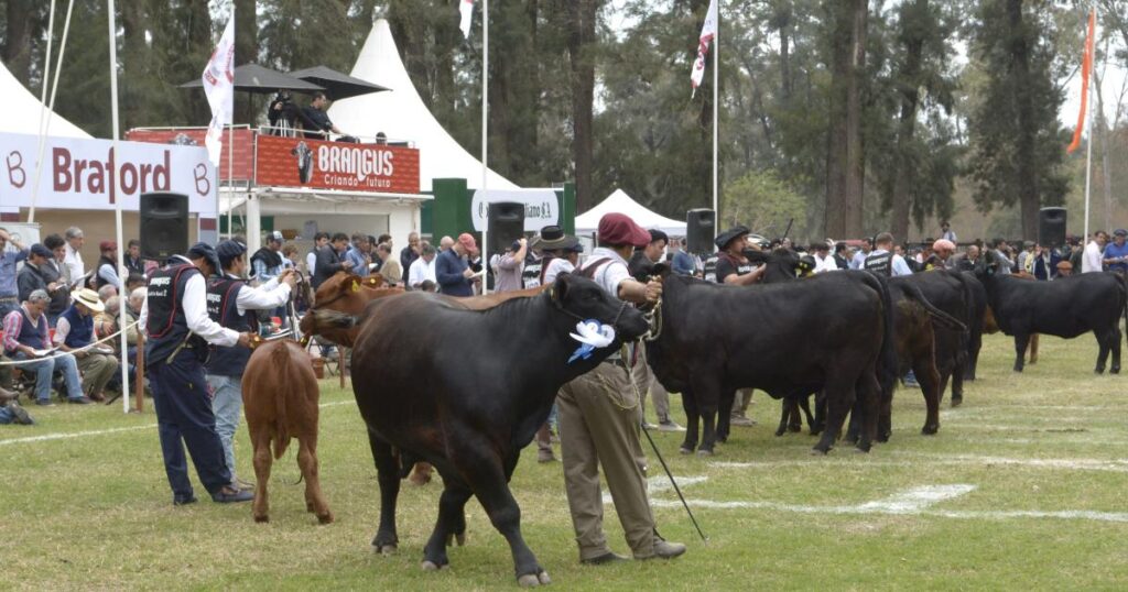 Arrancó la Expo Santiago Productivo con una amplia agenda de actividades: mirá el programa