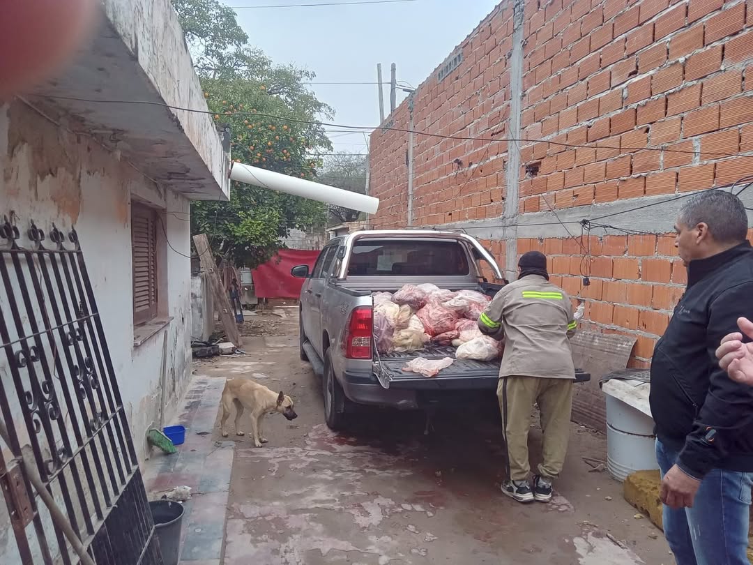 Decomisan vísceras de animales transportadas en condiciones sanitarias indebidas  