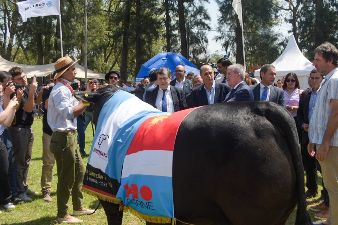 Zamora participó del acto inaugural de la ExpoBRA 2025