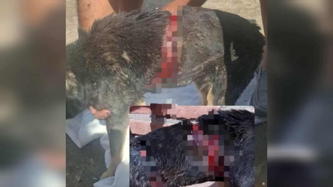 Detuvieron al acusado de provocar la muerte de “Corchita” en Añatuya