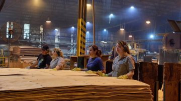 Crisis en la industria papelera: Celulosa Argentina se presenta en concurso preventivo de quiebra