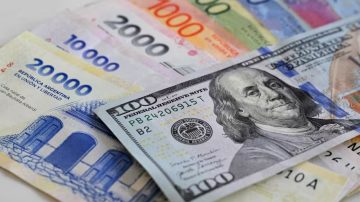 Nuevo cepo: el BCRA prohíbe comprar dólares financieros por 90 días después de acceder al oficial