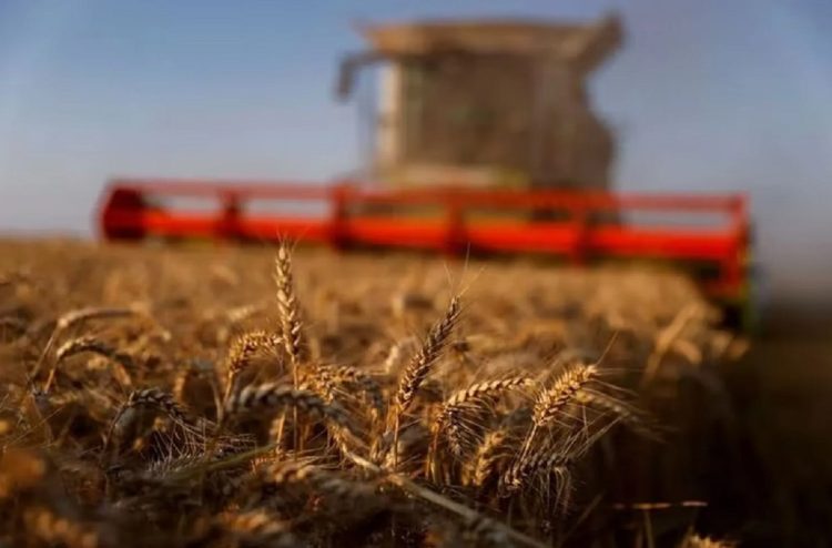 Récord histórico: las exportaciones de Santiago del Estero crecieron un 25,4% durante 2025