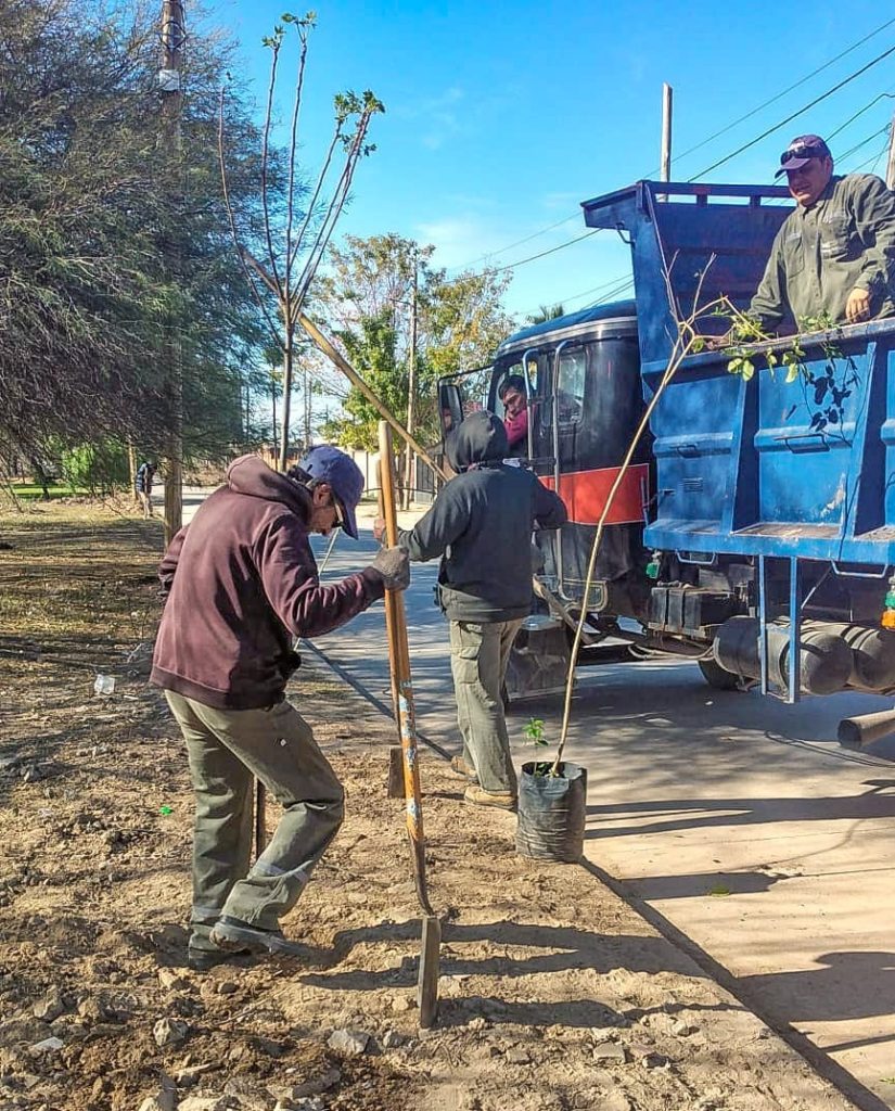 La Municipalidad capitalina comenzó la plantación de más de 2300 árboles en el barrio Juan Díaz de Solís