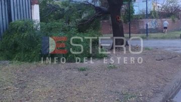 El cambio llegó a Frías con granizo y viento: Cayeron árboles y no hay energía eléctrica
