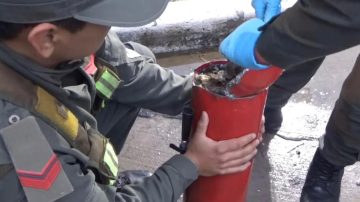 Incautan más de 5 kilos de cocaína en un operativo de Gendarmería en Santiago del Estero