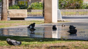 Casi 30 °C a las 6AM: Se espera otro día de calor con tormentas aisladas