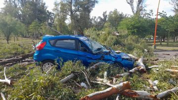 Especialista en agrometeorología advierte que las ráfagas del temporal superaron los 100 km/h y alerta por eventos extremos